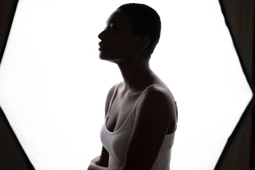Silhouette portrait of a woman in soft lighting creating a dramatic effect.