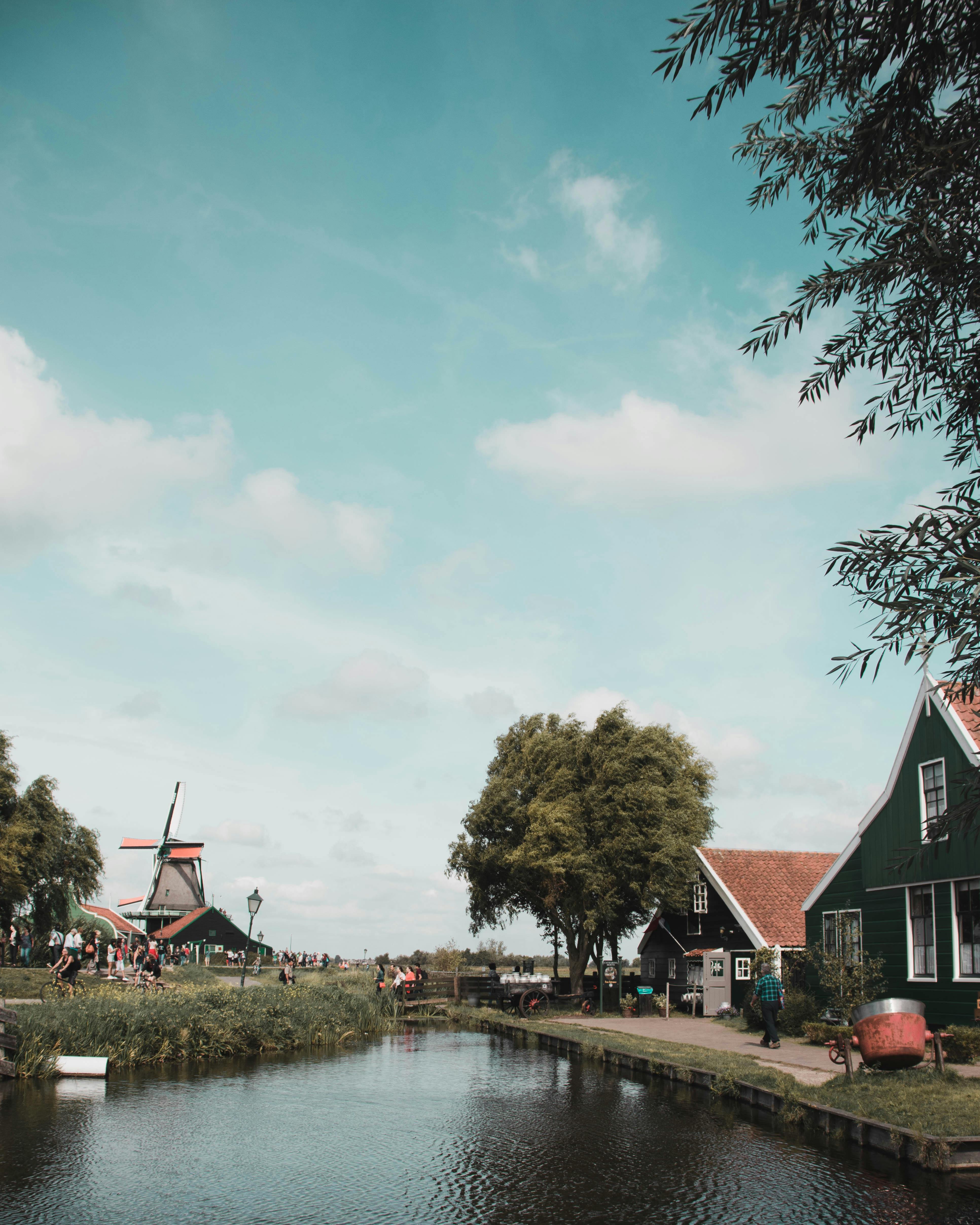 荷兰乡村一条宁静的河流旁，风景如画，矗立着传统的风车