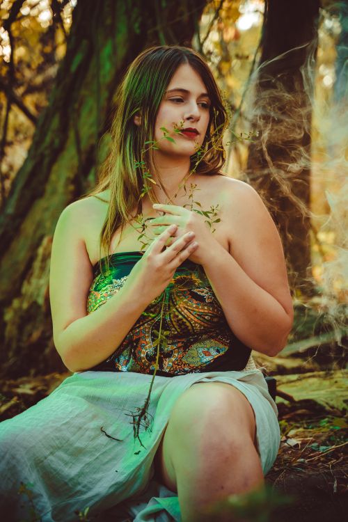 Free A woman sitting in the forest, holding a branch with a peaceful expression. Stock Photo