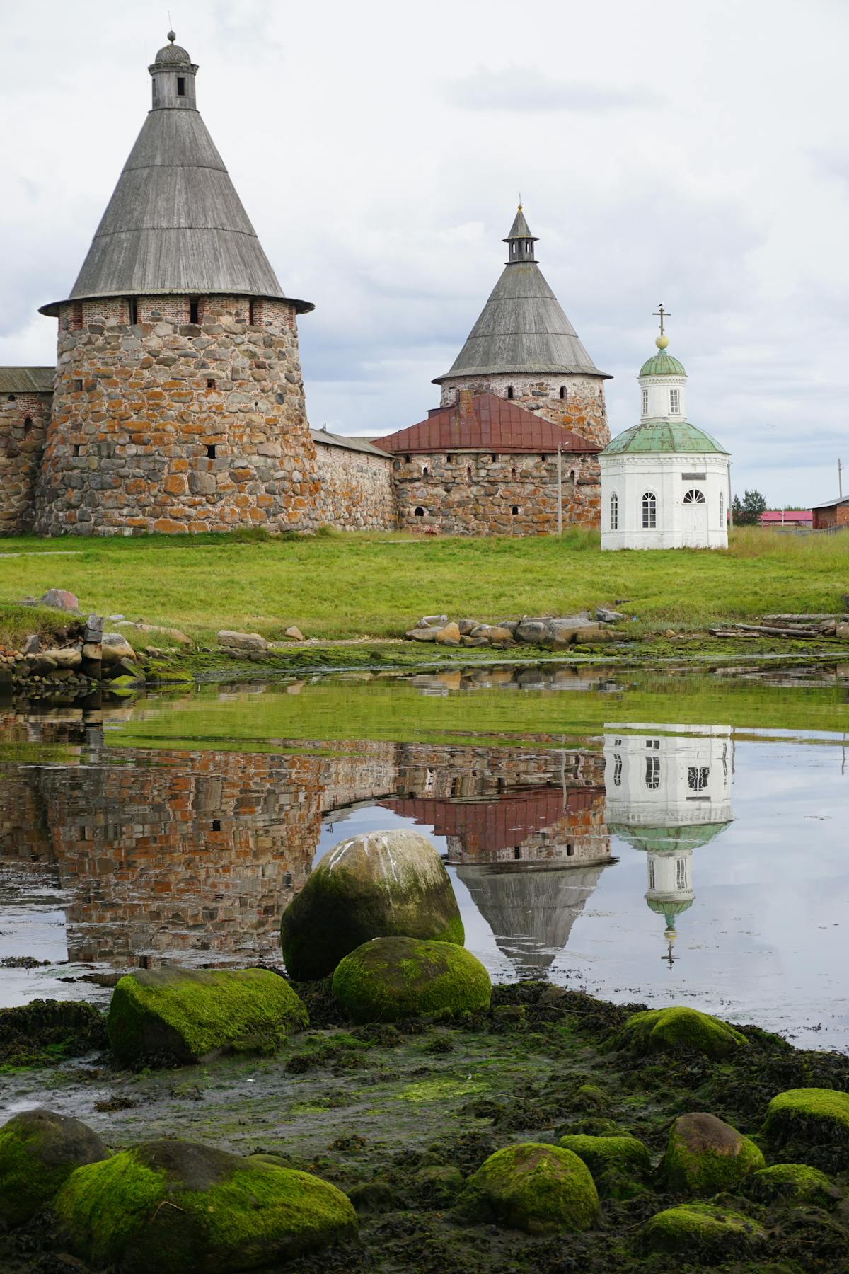 Pakistani fan following a live match with betting app