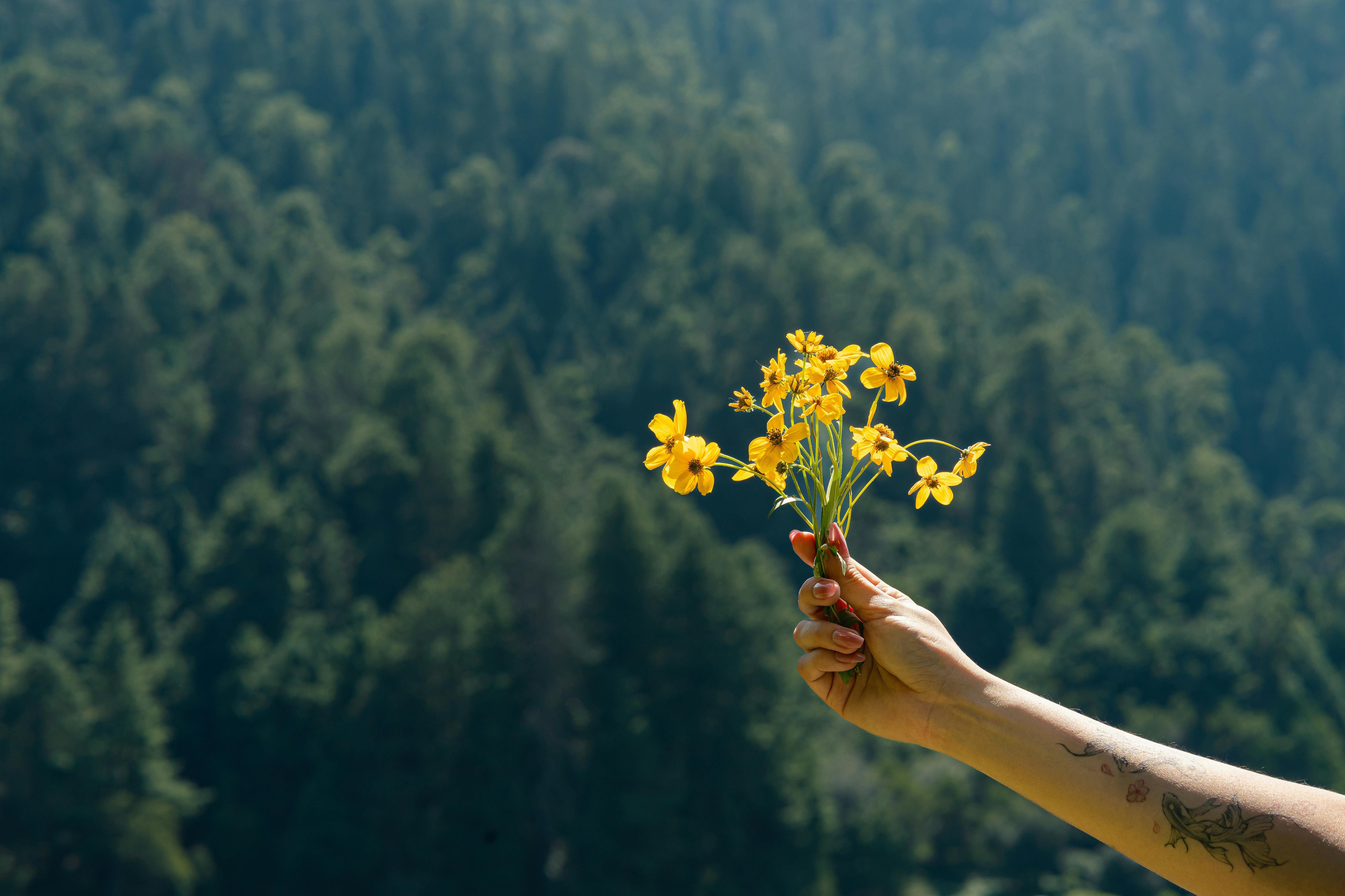 A hand with a tattoo holds yellow wildflowers against a lush forest background.