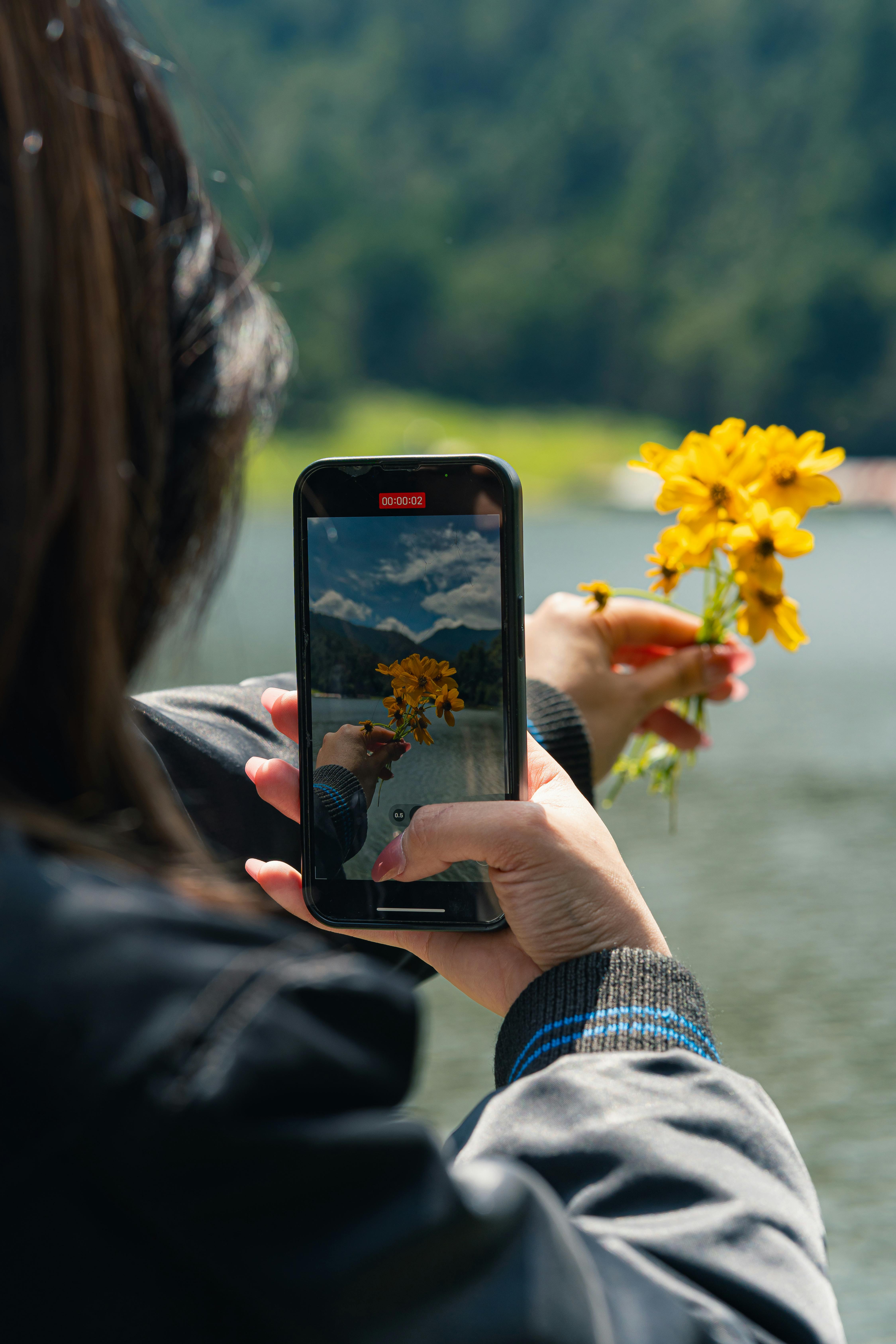 Close-up of a person photographing yellow flowers outdoors with a smartphone.