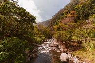 宁静的溪流流经风景如画的山区，穿过充满活力的森林，非常适合自然爱好者