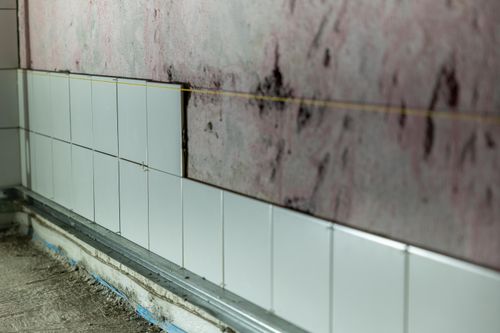 Floor & Wall Tiling