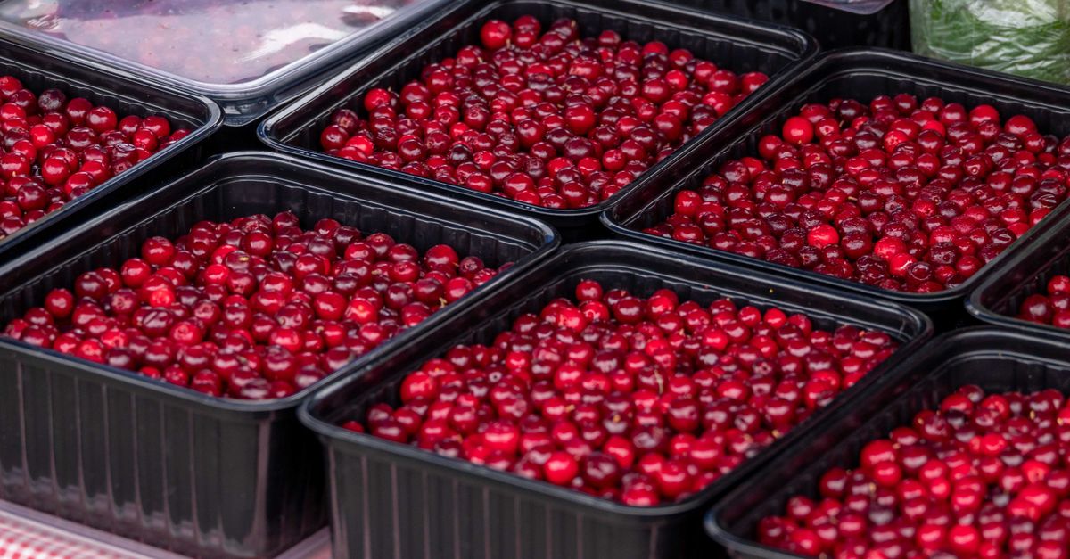 Close-up of fresh cranberries in black trays at a market. - Evidence evidence guide for cranberry cholesterol meta-analysis