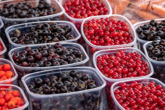 Multi-berry The Power Packed Snack Bean