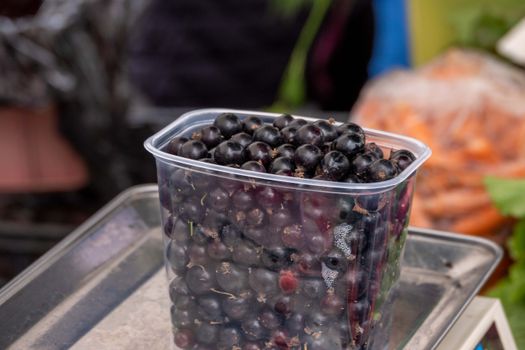 Blackcurrants