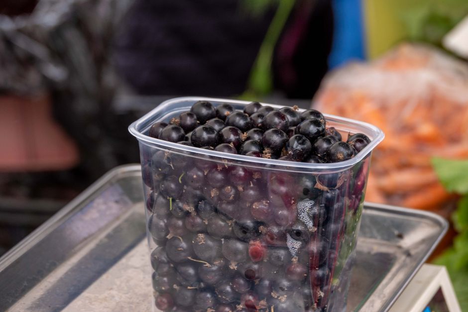 Nordic blackcurrant smoothie