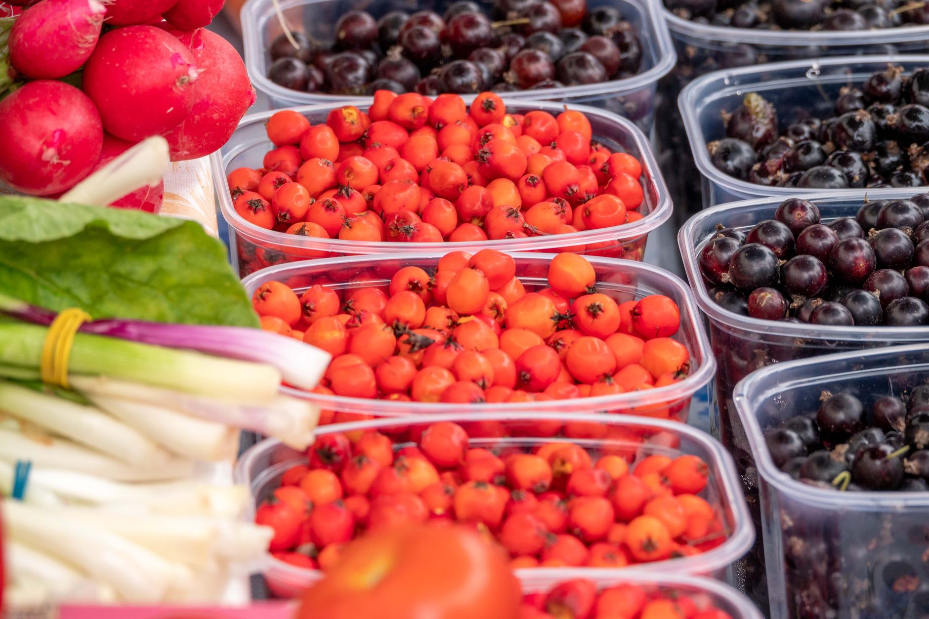 London Farmers Markets Drive Shift Toward Hyper-Local Food Economics