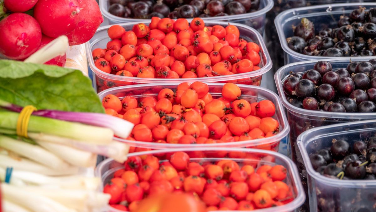 Séjour gastronomique en Camargue : circuits courts et producteurs locaux - illustration