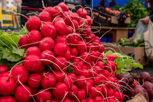 A colorful display of fresh red radishes captured at an outdoor market, showcasing rich hues.