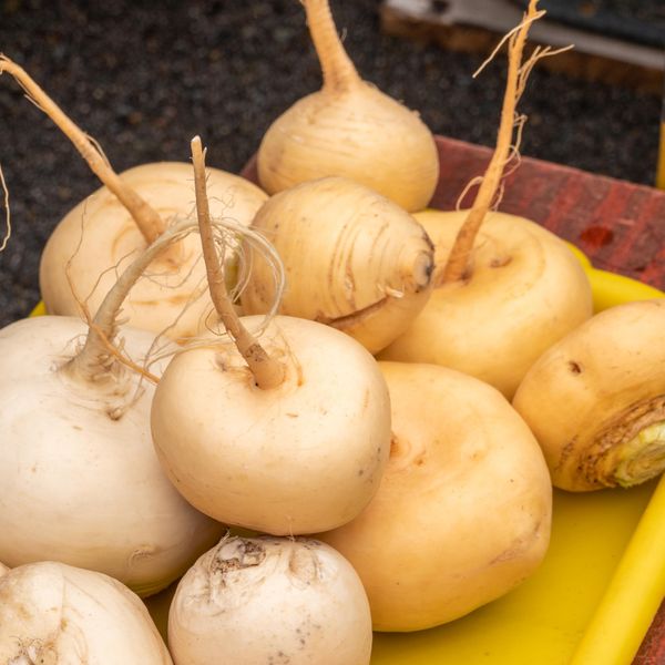 Fermented Turnips
