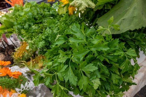 Free Close-up of fresh parsley and marigolds at a farmer's market display. Stock Photo