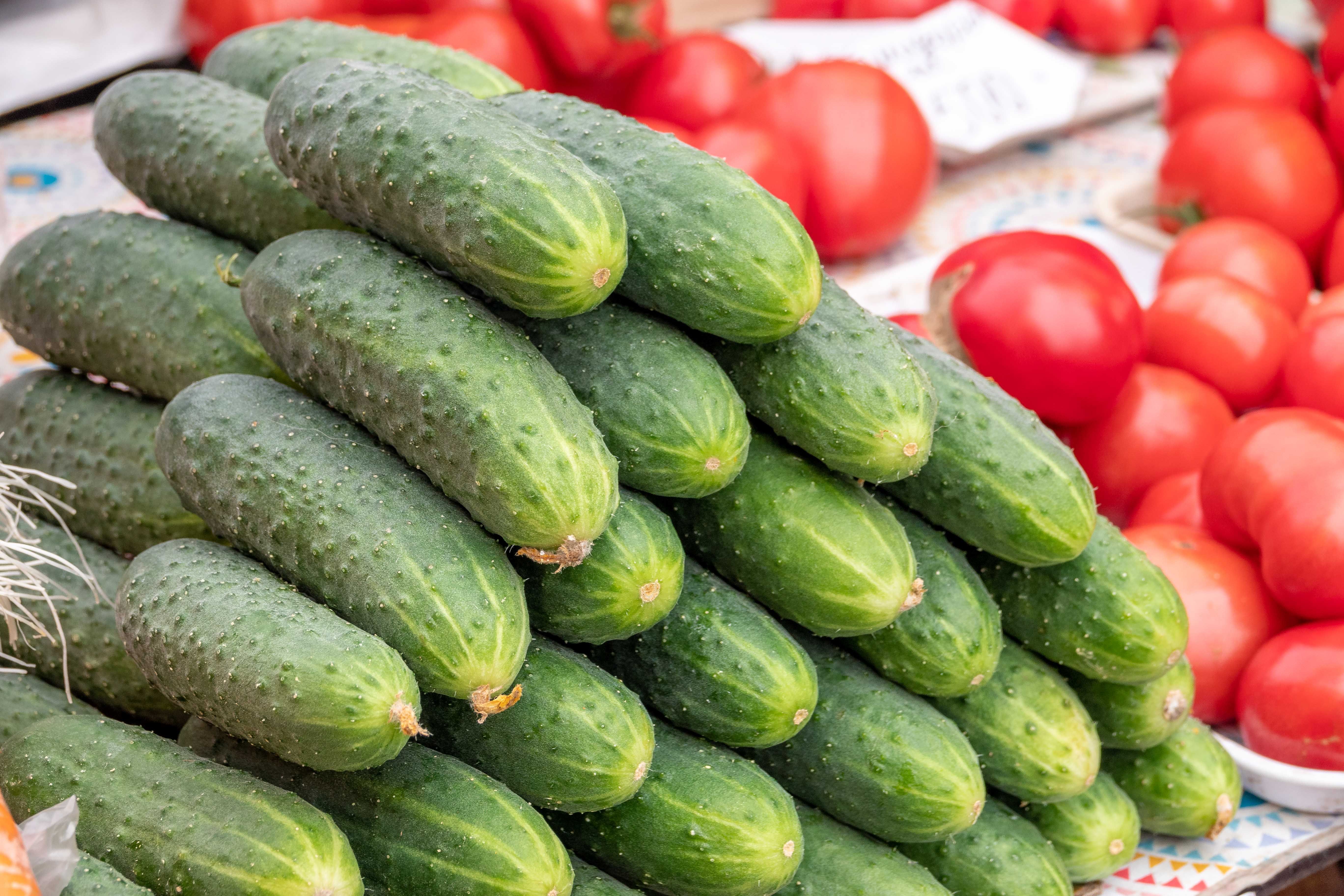 Variety of botanical berries including tomatoes, cucumbers, and bananas