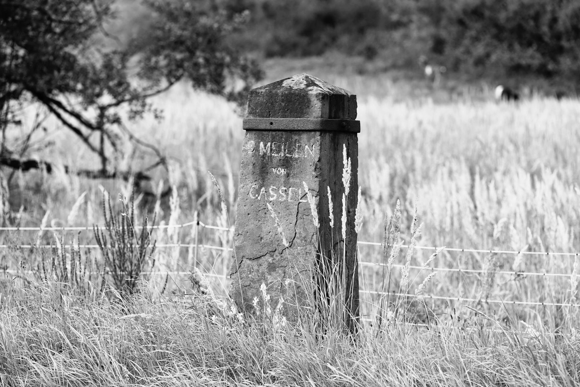 Black and white photo of an old milestone in a Kassel meadow, surrounded by tall grasses.