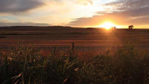 Stunning sunset over African farmland with golden hues and distant silhouette trees.