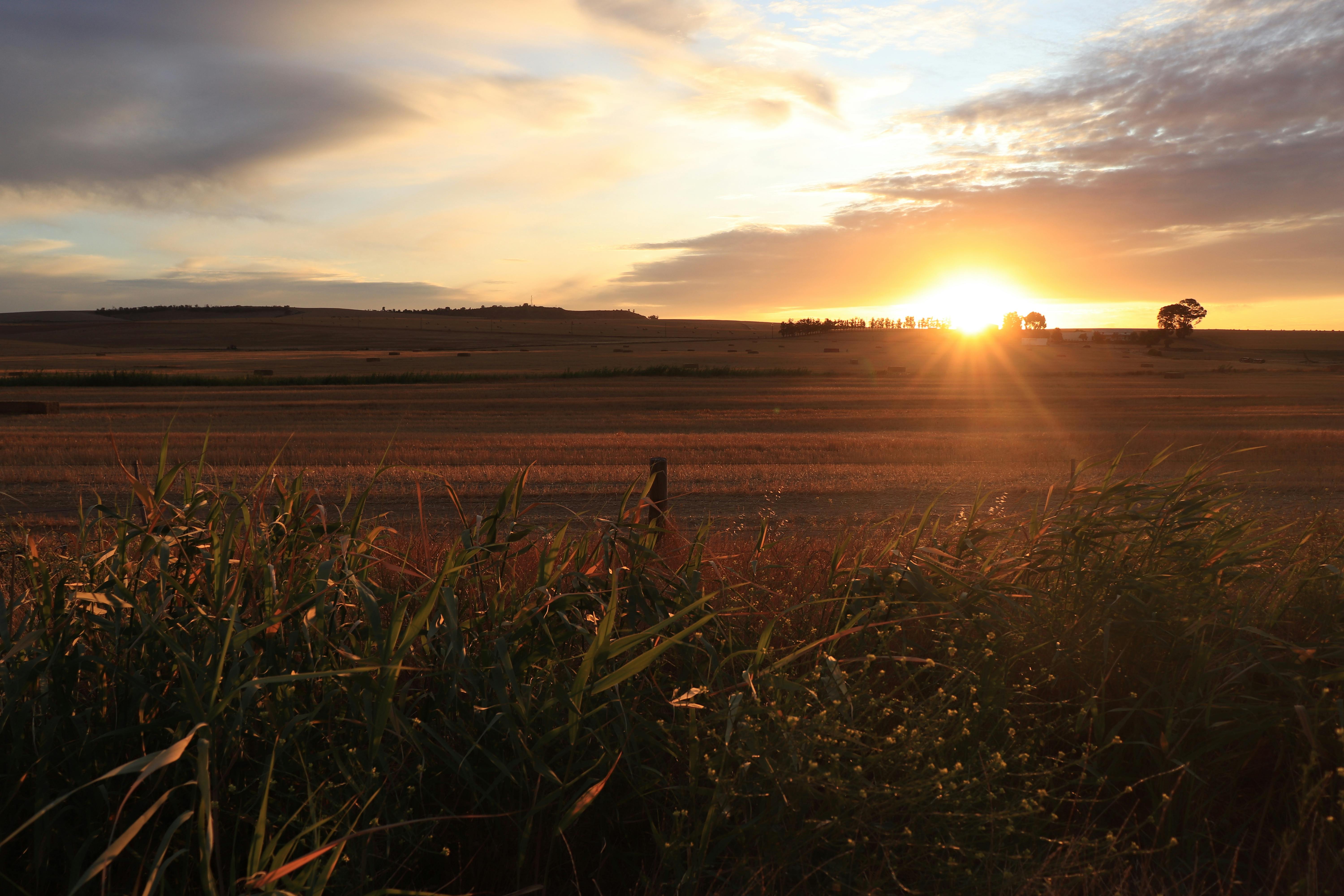 Pastors Photos, Download The BEST Free