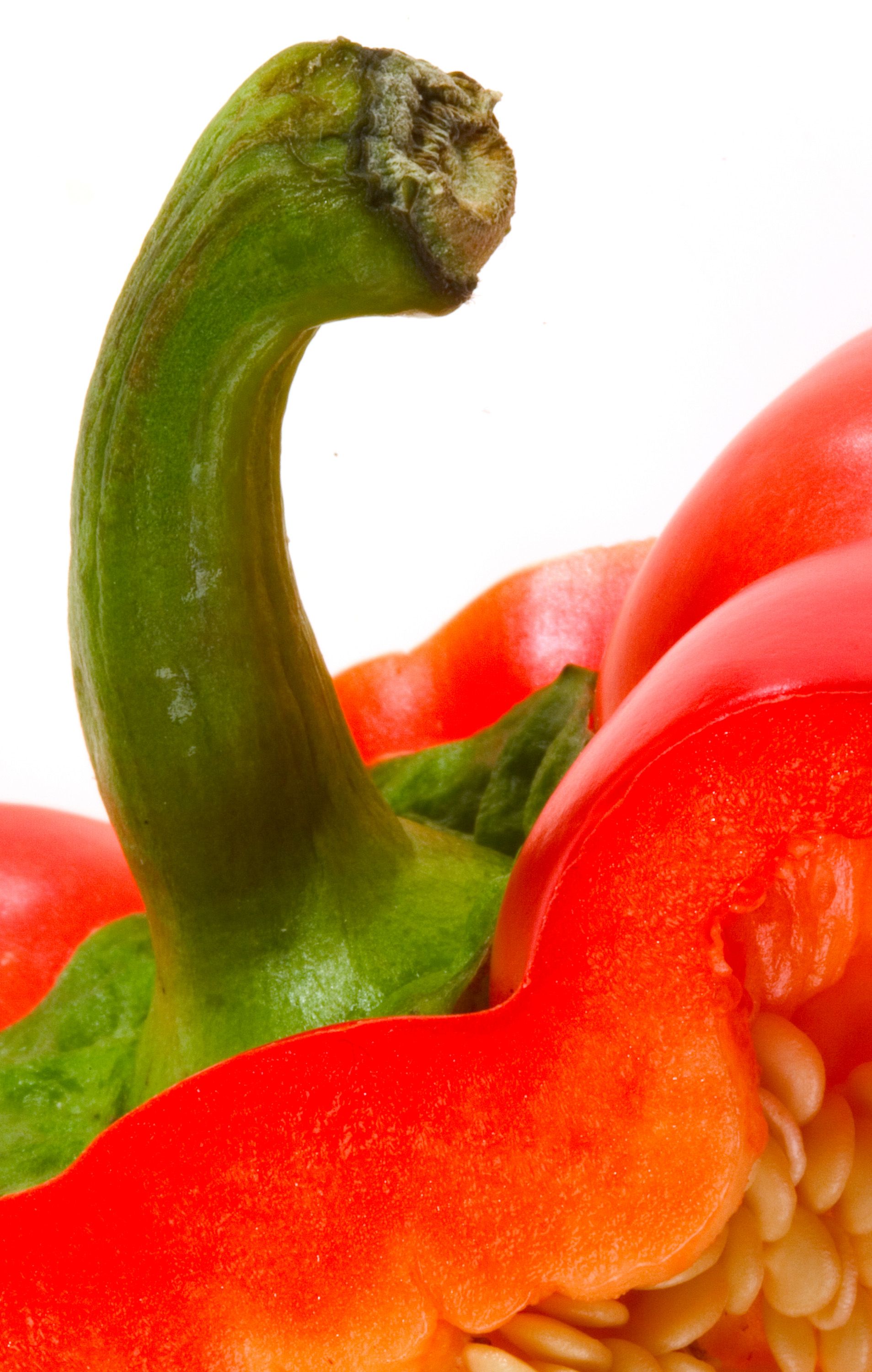 The Importance of Ingredients: Freshness is Key