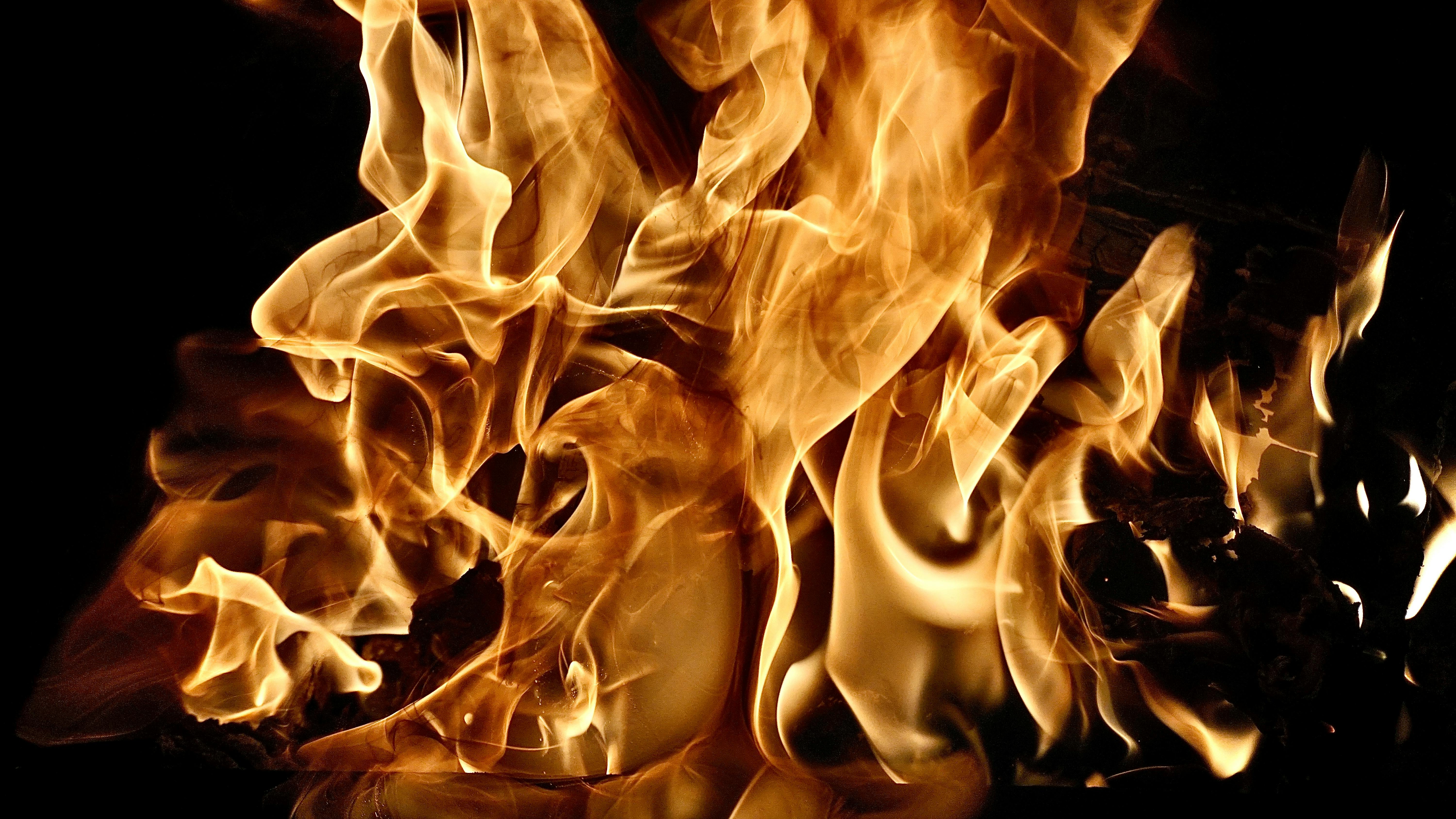 Dramatic Flames Captured in Abstract Fire Art · Free Stock Photo