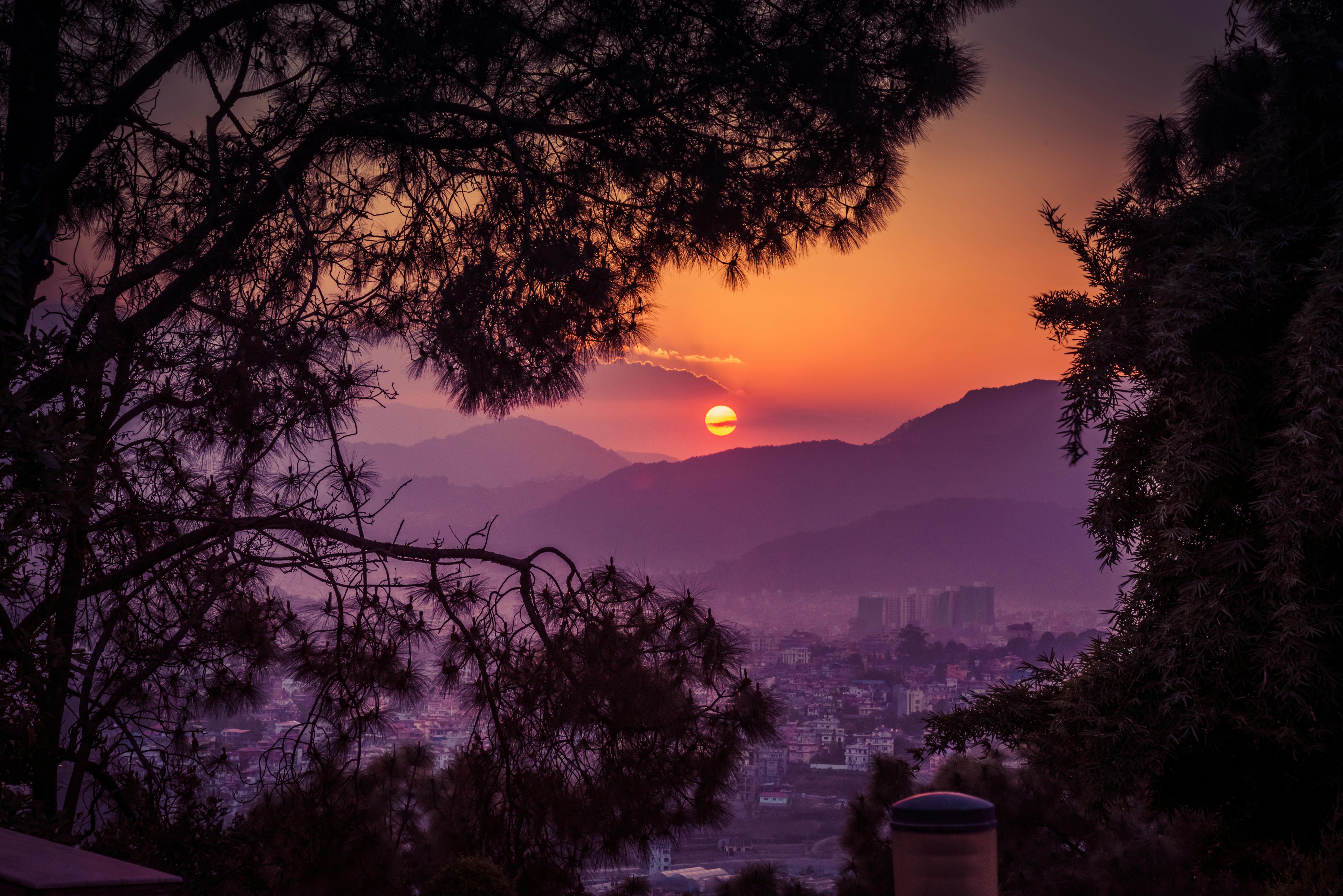 轮廓鲜明的树木与充满活力的天空，构成了越过山脉的壮丽日落景色