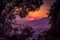 轮廓鲜明的树木与充满活力的天空，构成了越过山脉的壮丽日落景色