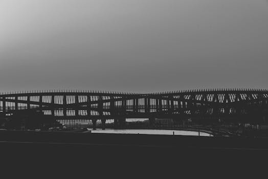 这是一张黑白照片，展示了一座设计独特的现代城市桥梁