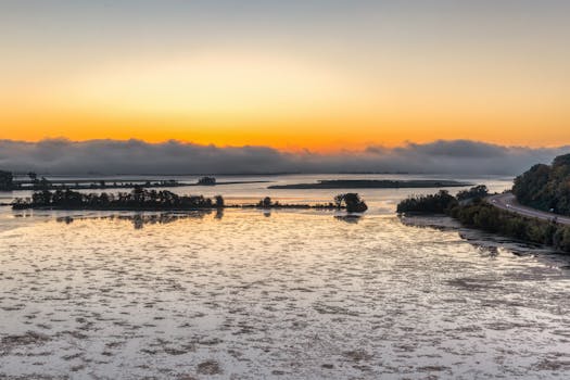 Scenic sunrise view over the Mississippi River with fog, water reflections, and lush greenery.
