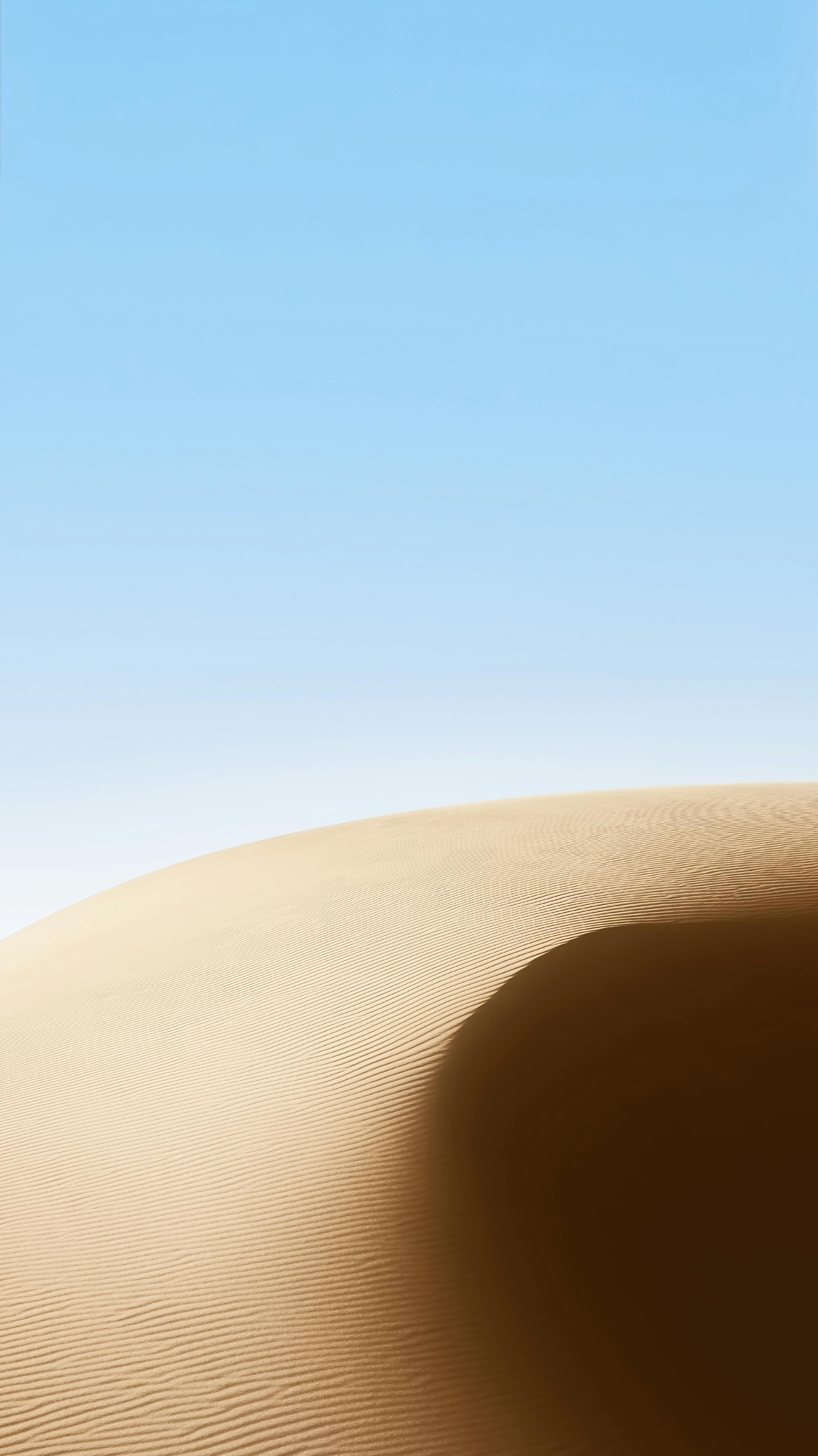 9 16 video background