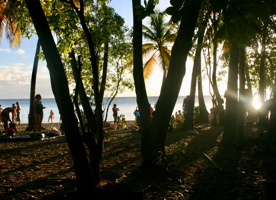 Silhouettes of people enjoying a sunset on a Martinique beach framed by lush trees.