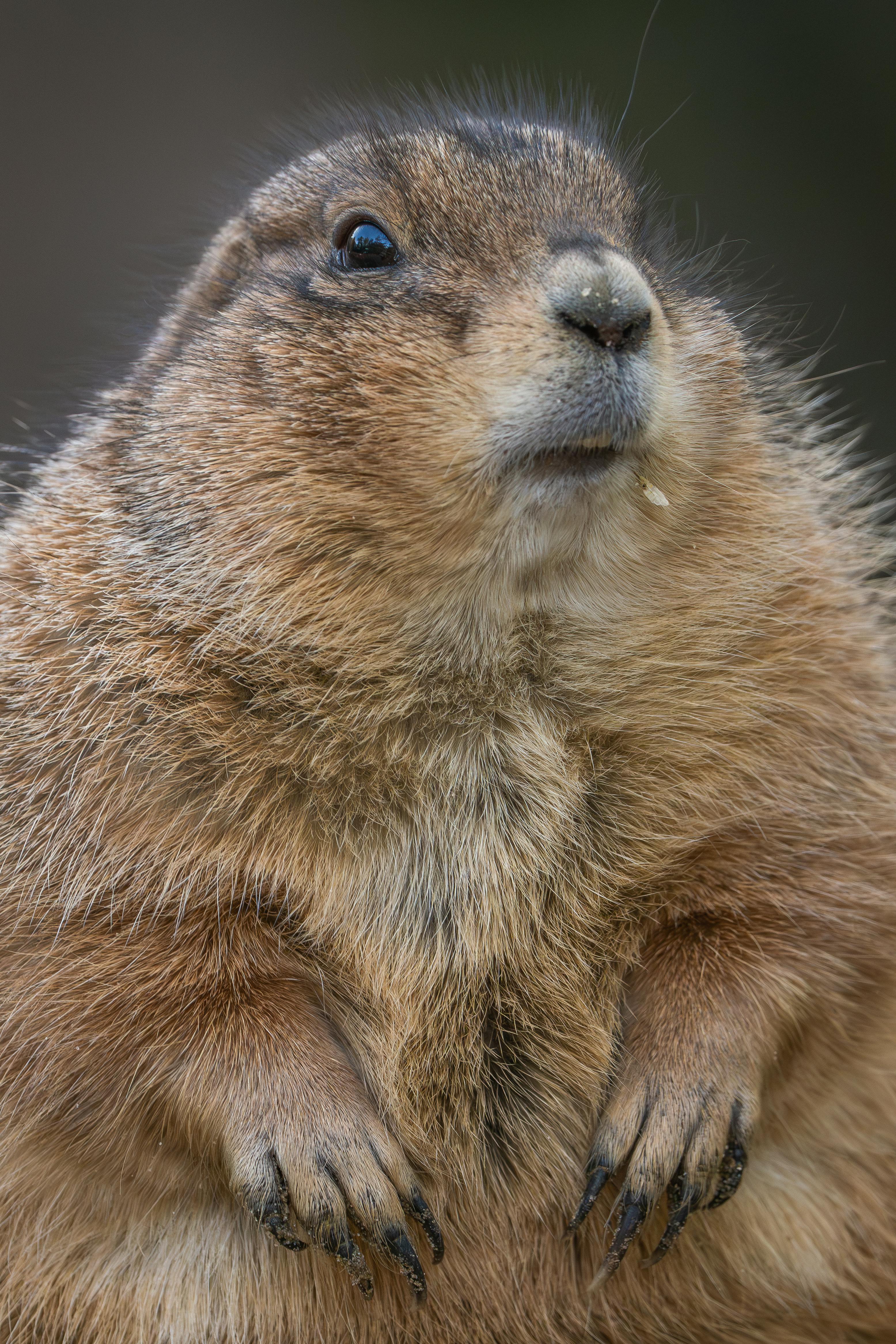 Blogartikel Für Outreach Nutzen: So Maximieren Sie Ihre Reichweite 5 So nutzen Sie SEO für Ihre Blogartikel: 8 Schritte zur Reichweitensteigerung