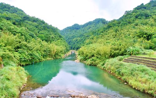 Free Scenic landscape of a serene river in lush forested valley in New Taipei City, Taiwan. Stock Photo