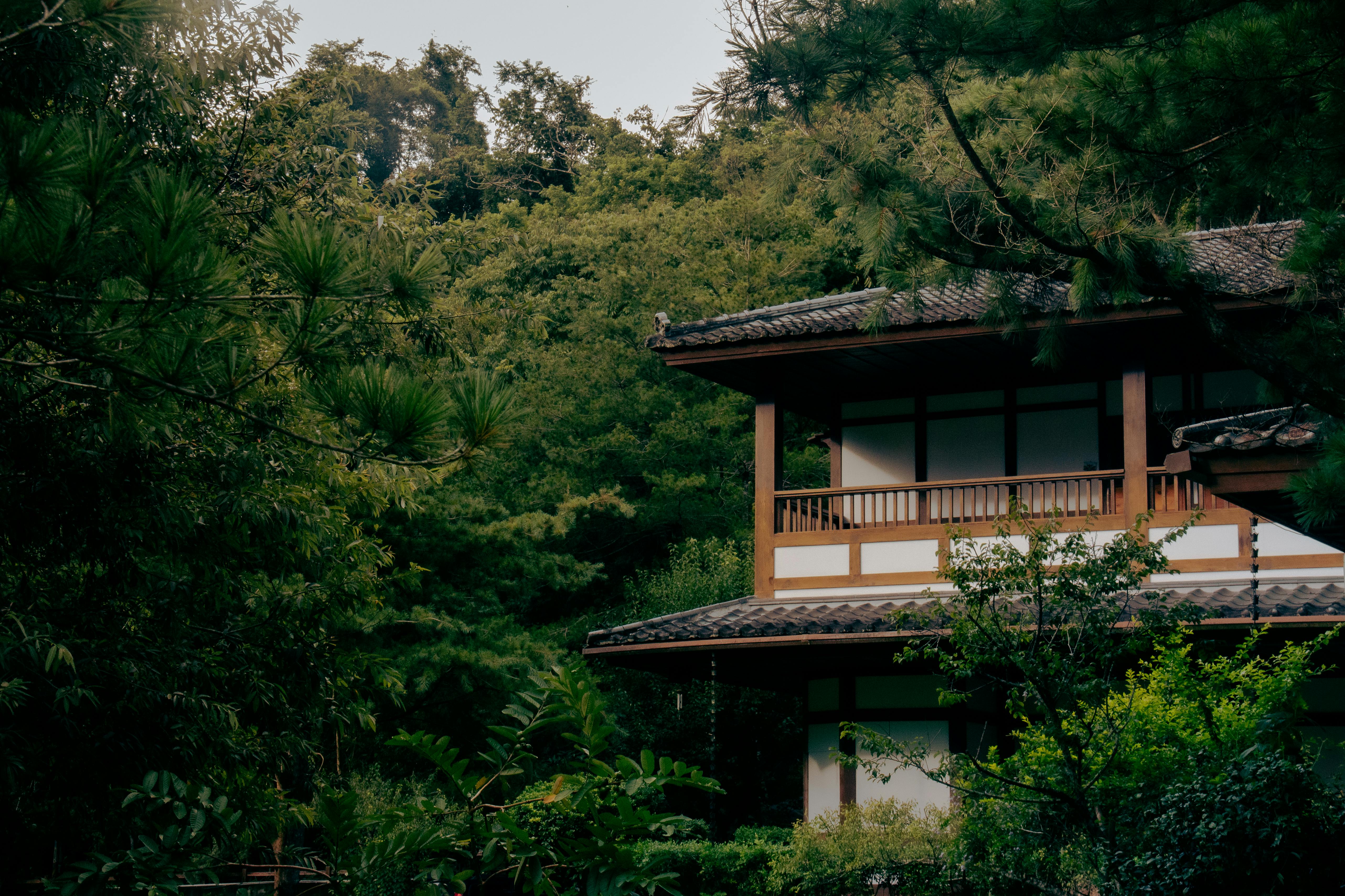 Peaceful traditional structure amidst dense greenery in Nantou County, Taiwan.