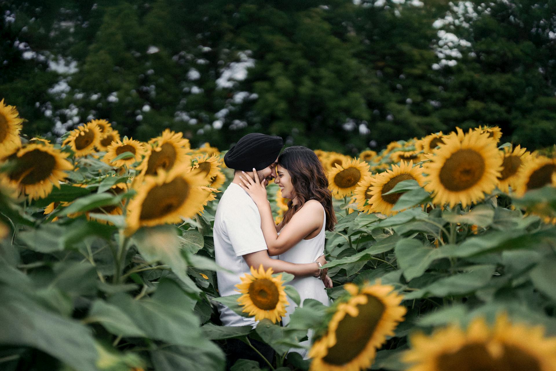 Free stock photo of couple photography, couple photoshoot, engagement shoot