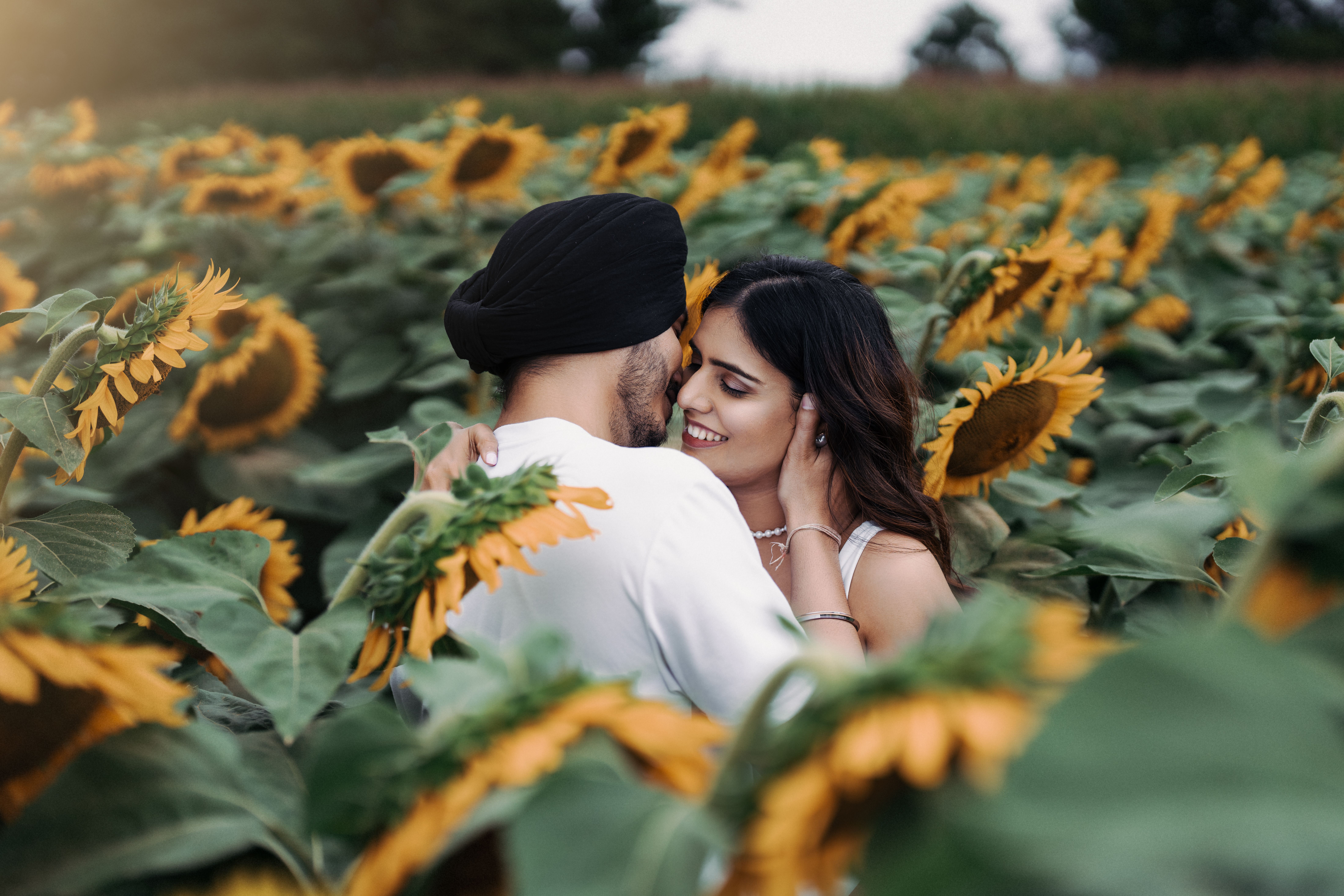 Compromiso Romántico En Un Campo De Girasoles · Foto de stock gratuita