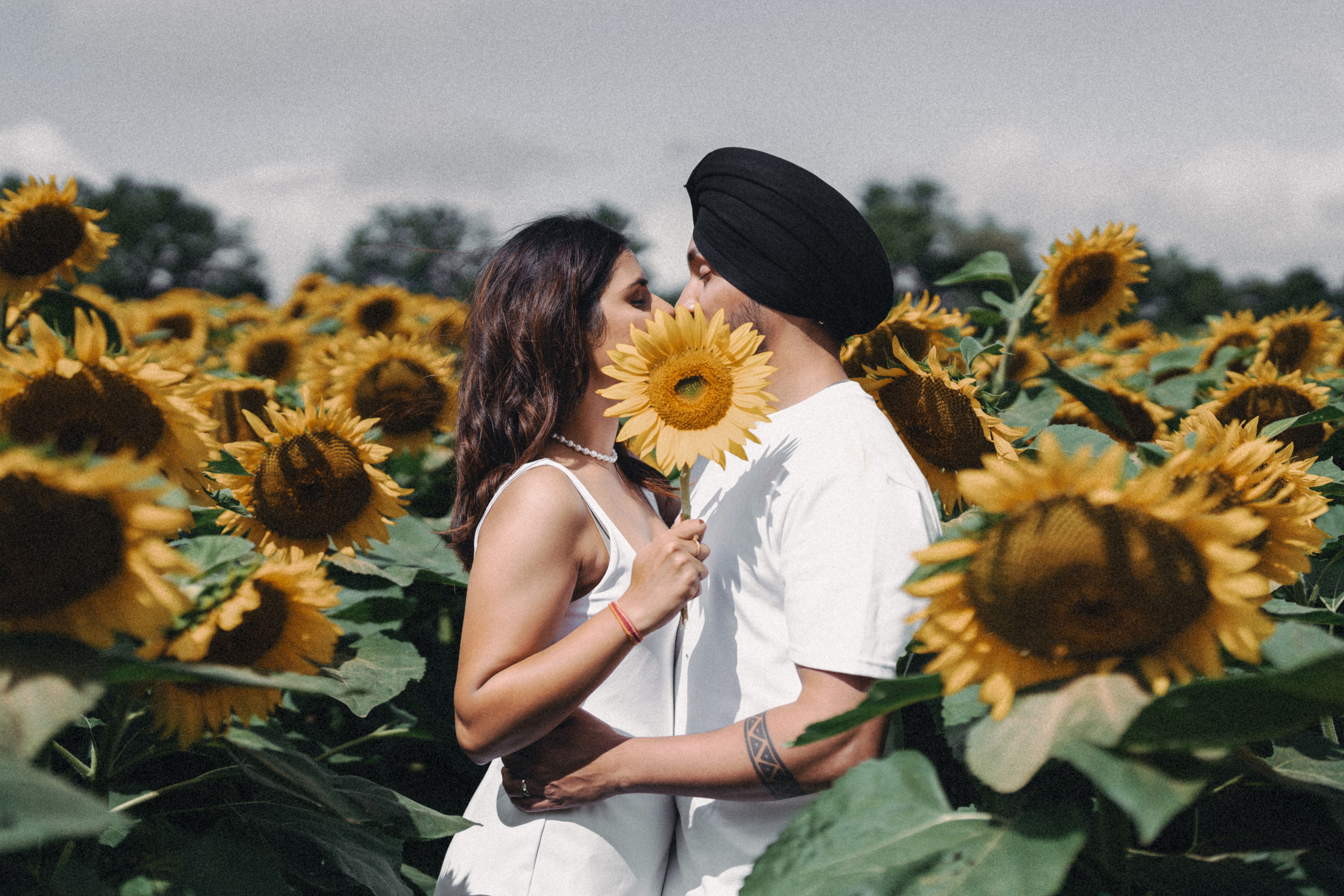 A couple enjoying a romantic moment in a vibrant sunflower field in Toronto.