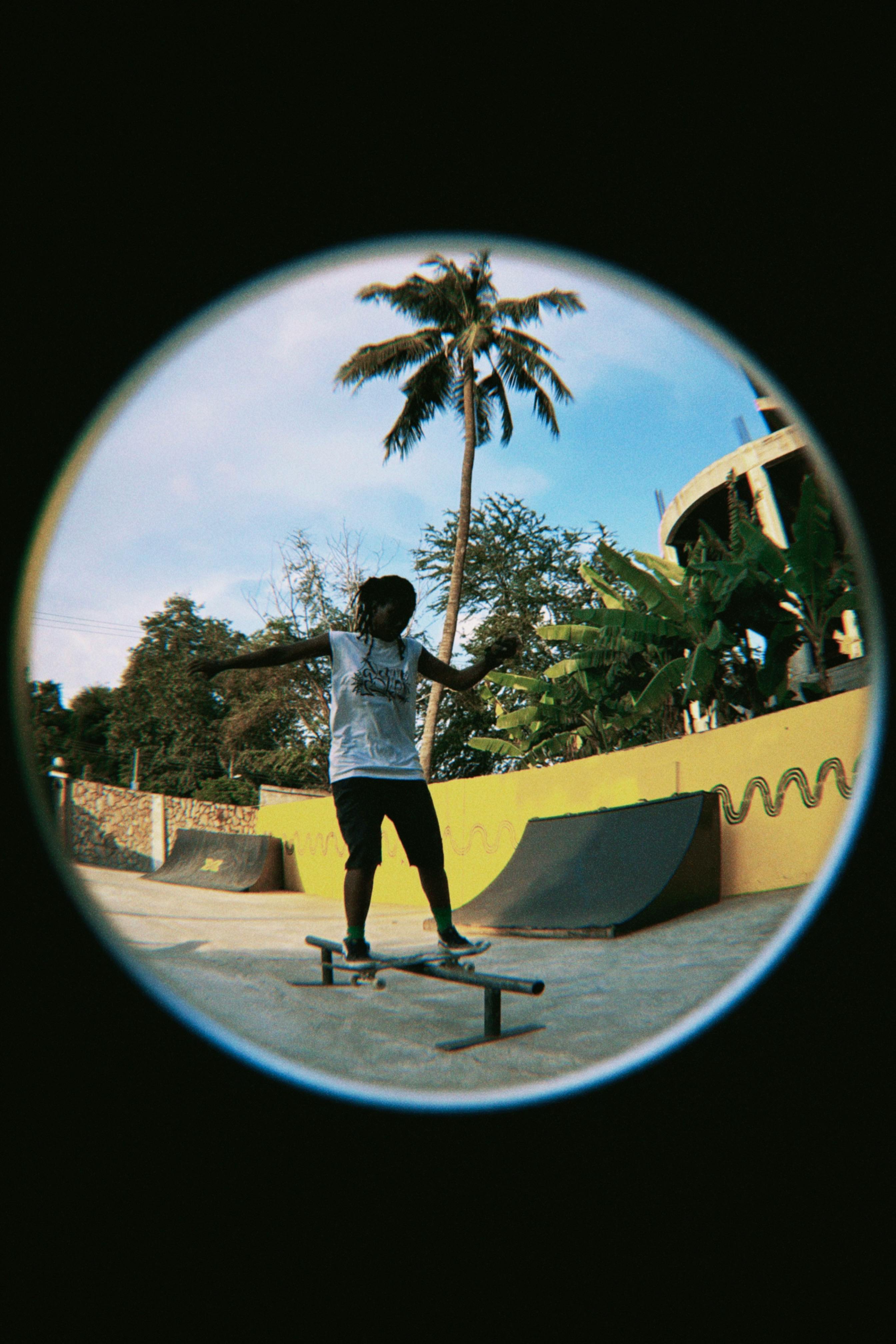 Dynamic skateboarder performing a trick in an urban tropical skate park.