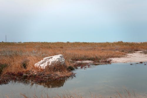 Foto d'estoc gratuïta de camp