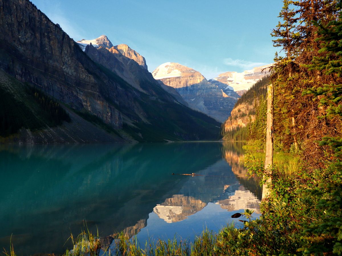 3 Day Psilocybin Deep Self-Exploration & Shadow Work in Canada 3