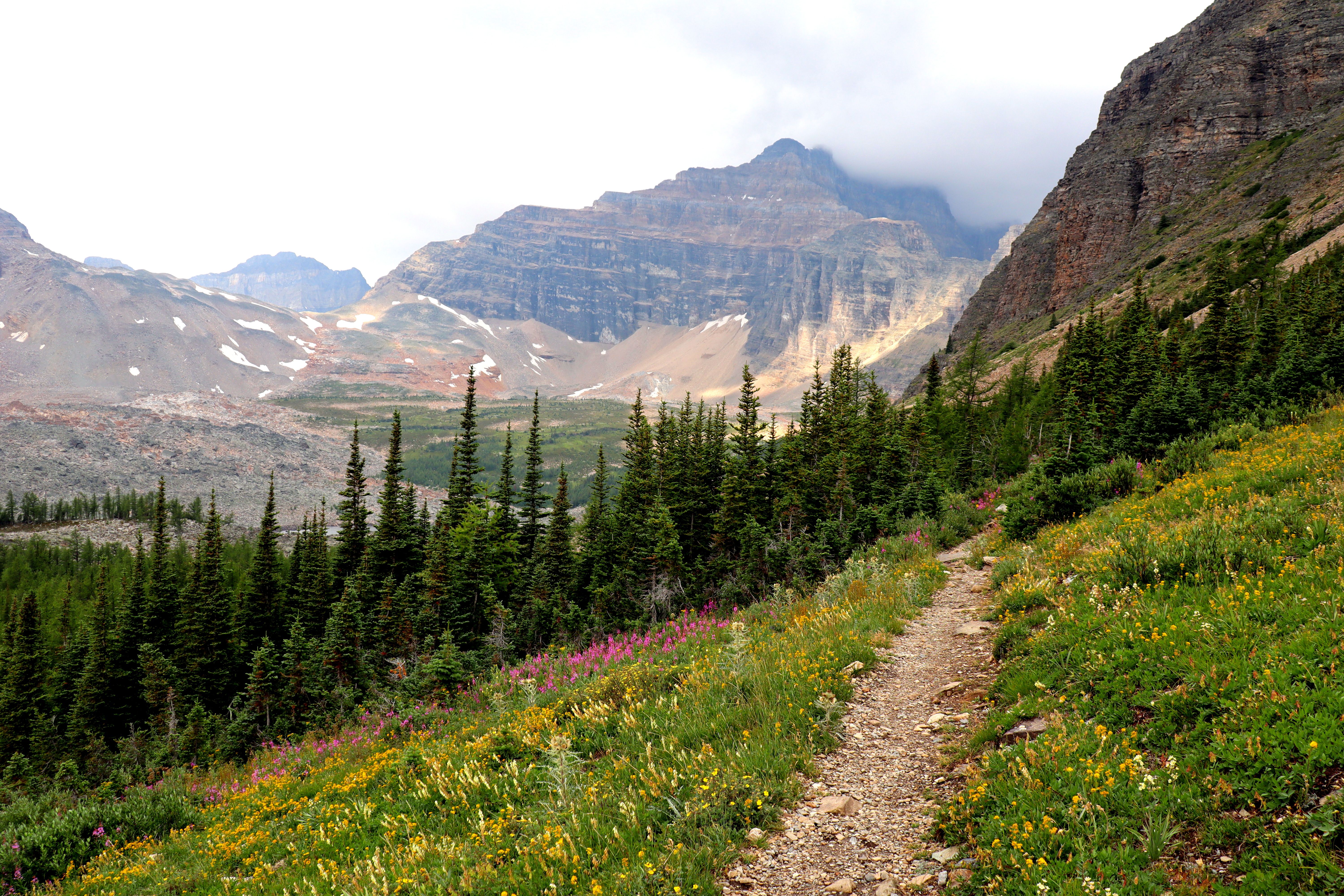Scenic Mountain Landscape with Hiking Trail · Free Stock Photo