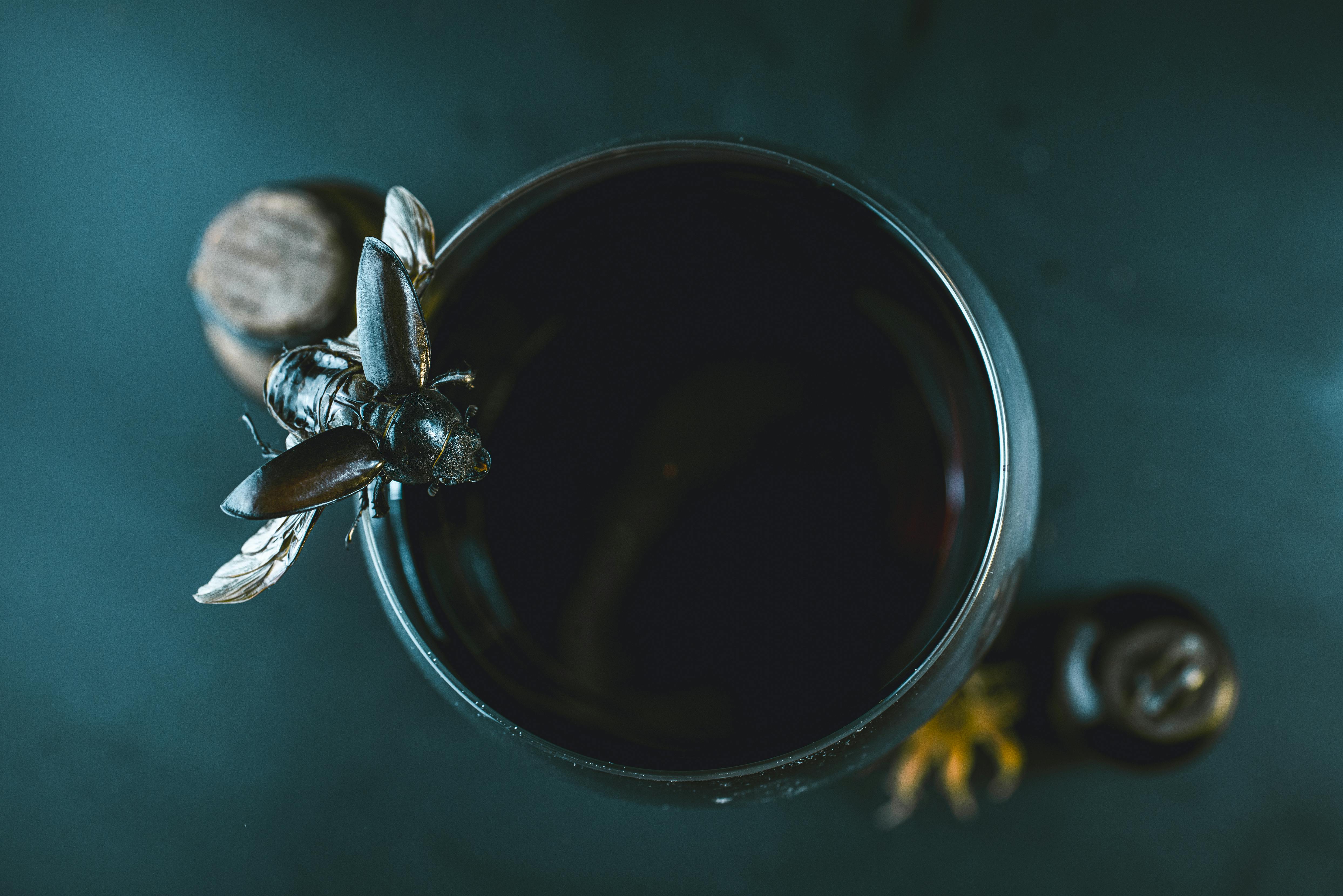 Kostenlos Makroaufnahme eines Käfers, der vor einem dunklen Hintergrund auf einem Weinglas thront und eine geheimnisvolle Atmosphäre schafft. Stock-Foto