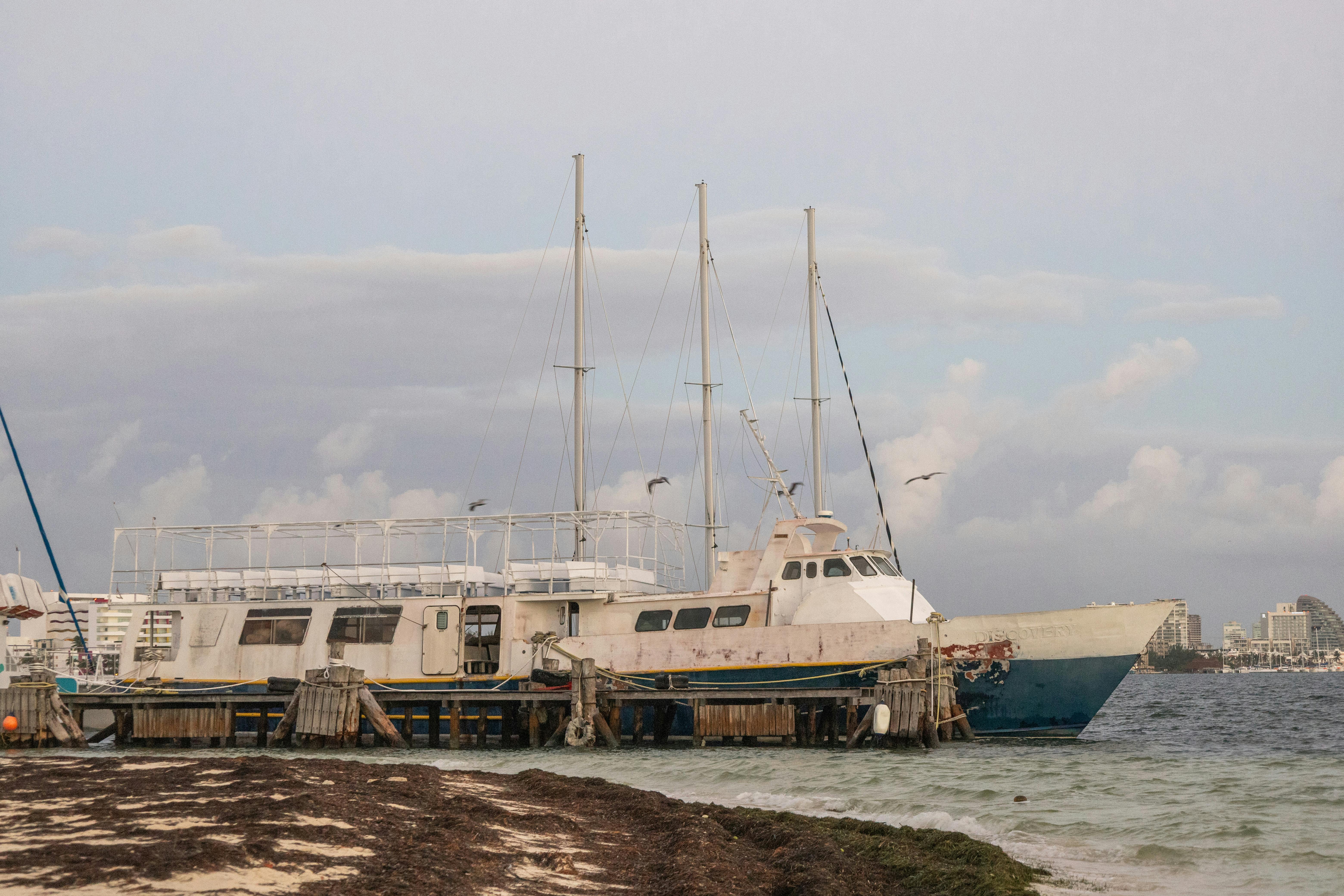 Marine Ecosystem Restoration: Reviving Our Oceans for a Sustainable Future