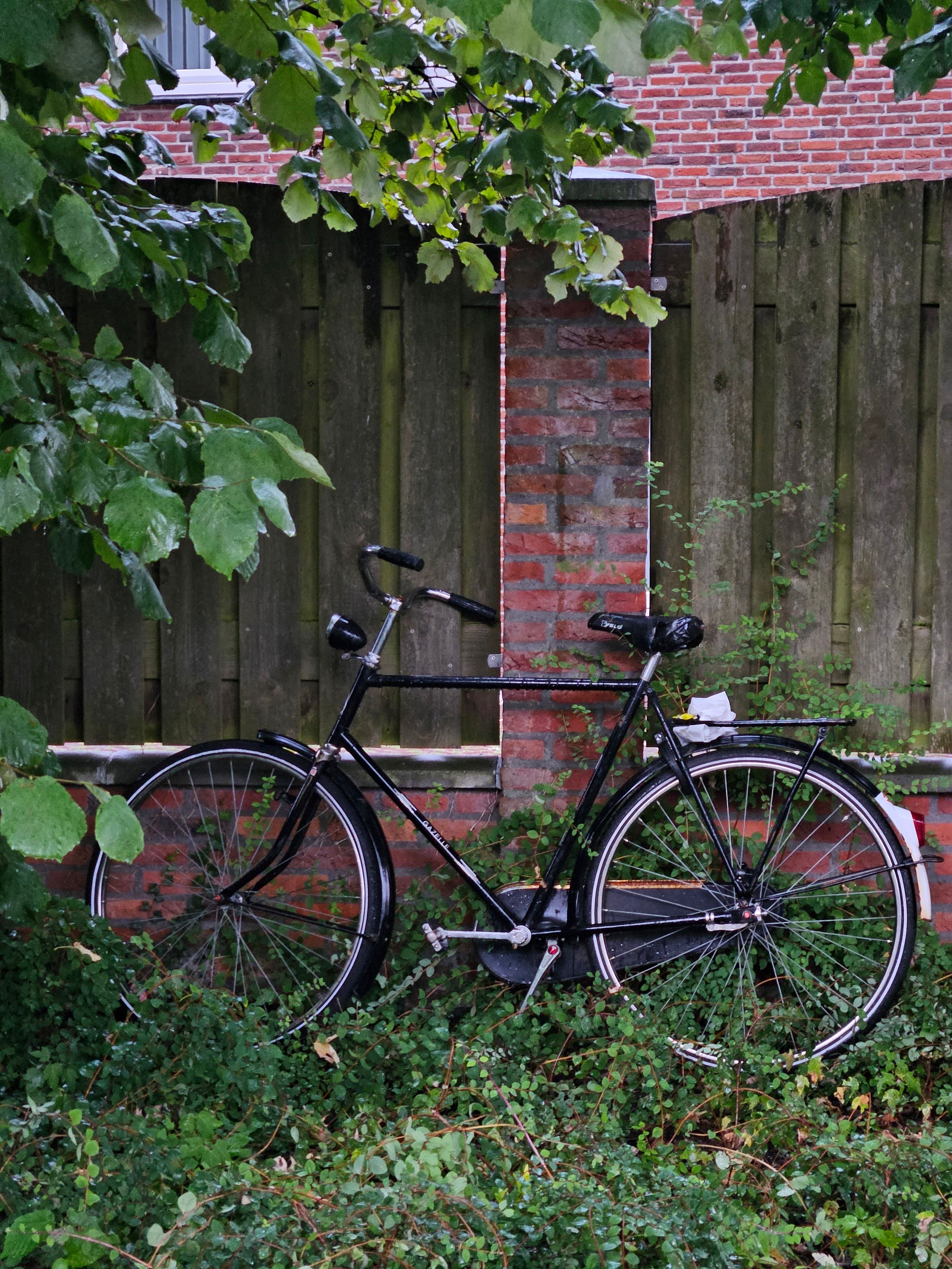 Detail van fietswiel en ketting tijdens onderhoud