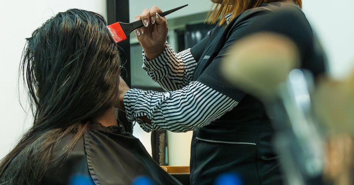 Session Stylist Professional Hair Styling Session in Salon · Free Stock Photo