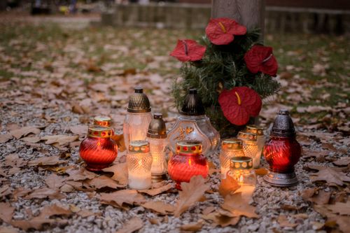 Free Beautifully arranged memorial lanterns and red flowers surrounded by autumn leaves. Stock Photo