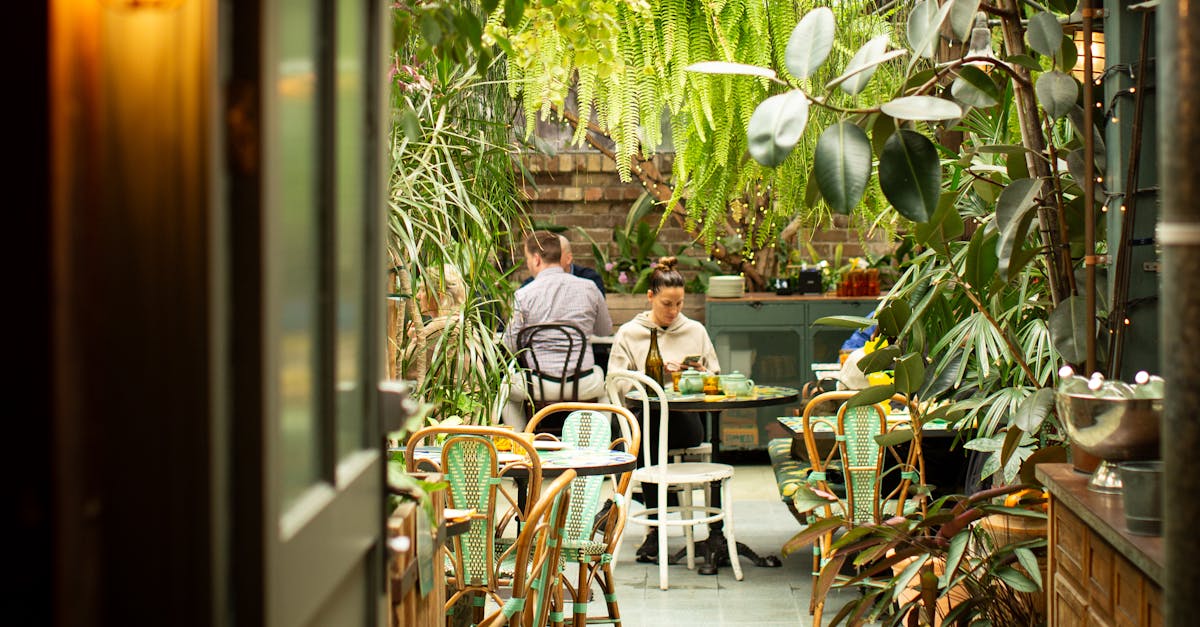 Conversation About Political Views