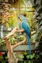 Vibrant Blue and Gold Macaw in Lush Greenery