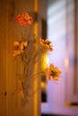 Beautiful Dried Flowers on Rustic Wooden Wall