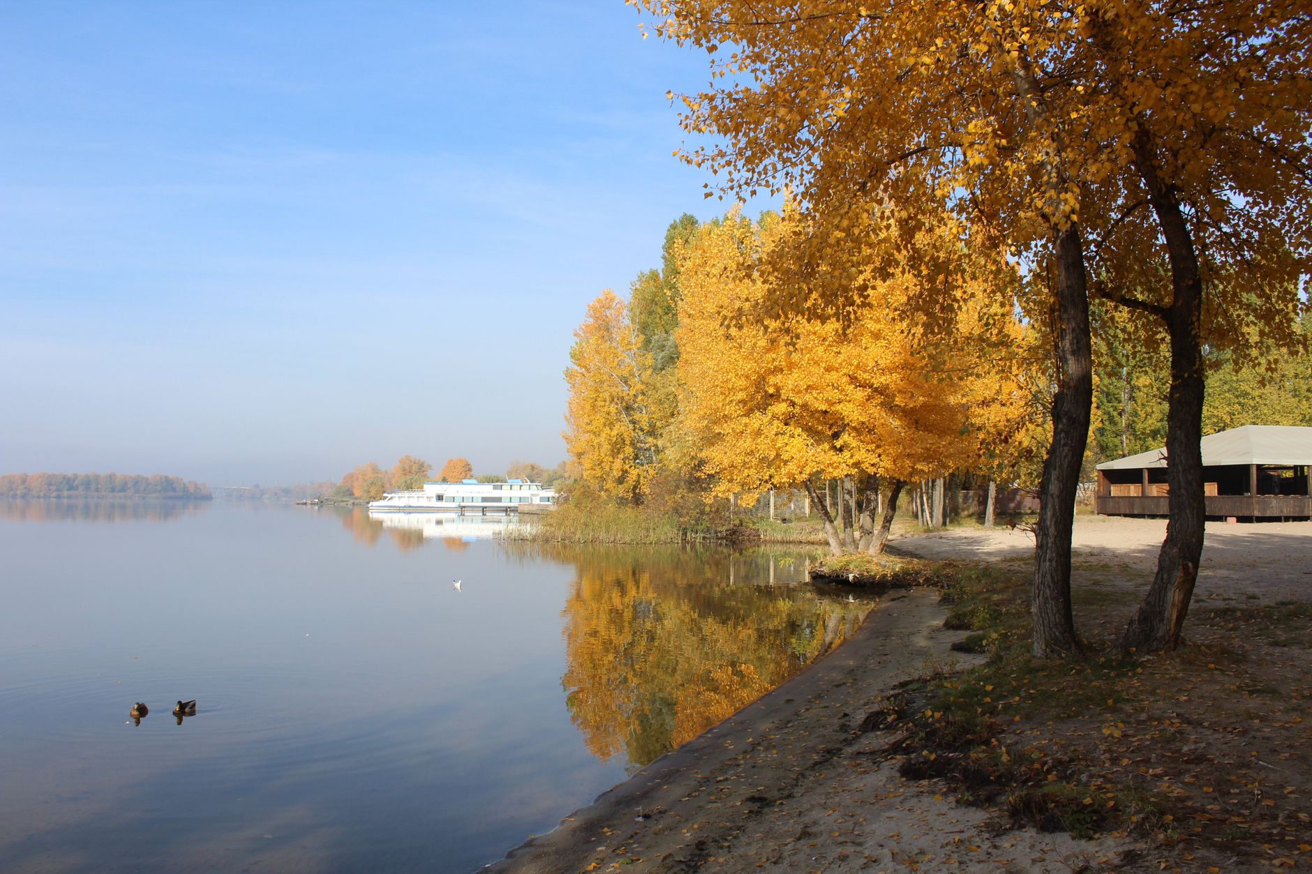 Peaceful autumn scene with golden trees reflecting on a calm lake shore.