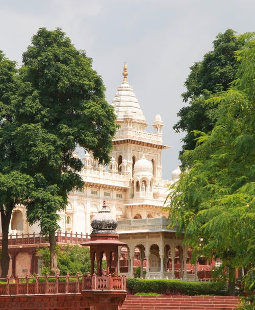 Free A stunning view of Jaswant Thada framed by vibrant green trees under a clear blue sky. Stock Photo