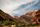 zion national park
